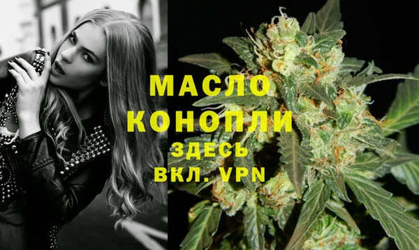 apvp Богородицк
