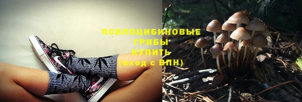 эйфоретик Чита