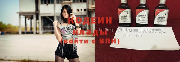 дживик Богородск