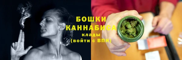 дживик Богородск