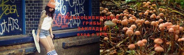apvp Богородицк