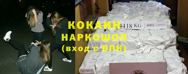 apvp Богородицк